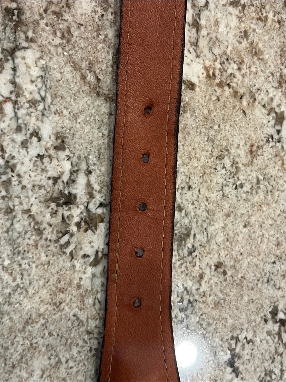 Men's Blue Fish-Print Webbing Belt with Brown Leather Trim